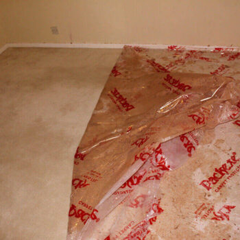 Packexe Carpet being removed in small room